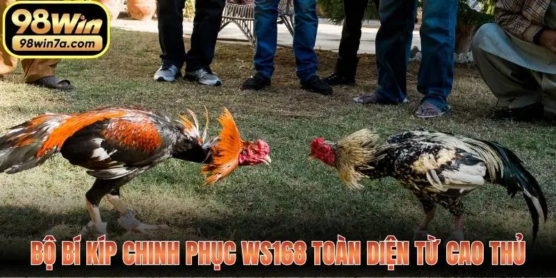 Bộ bí kíp chinh phục WS168 toàn diện từ cao thủ