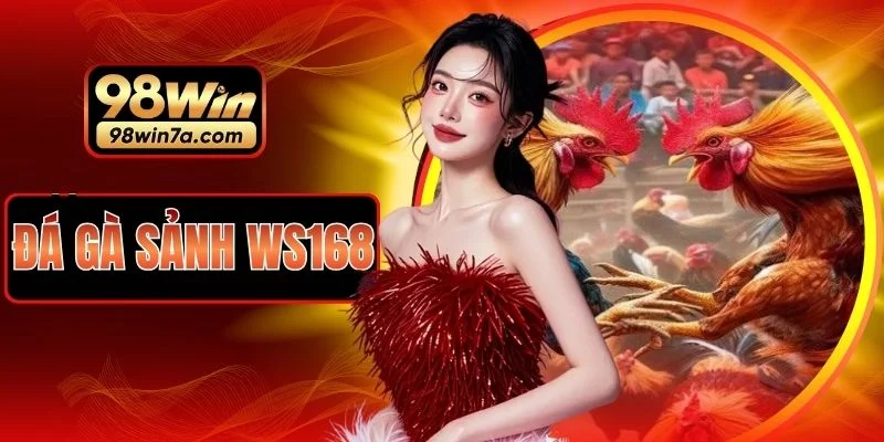 Đá Gà Sảnh WS168
