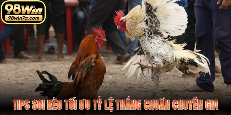 Tips soi kèo tối ưu tỷ lệ thắng chuẩn chuyên gia