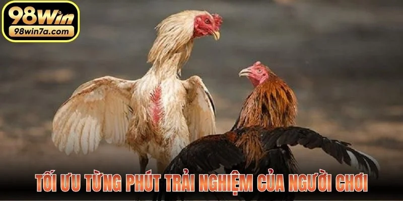 Tối ưu từng phút trải nghiệm của người chơi
